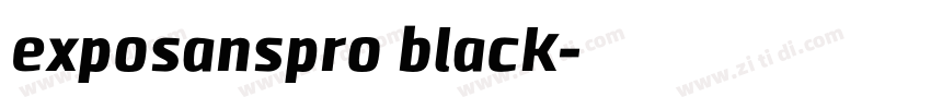 exposanspro black字体转换